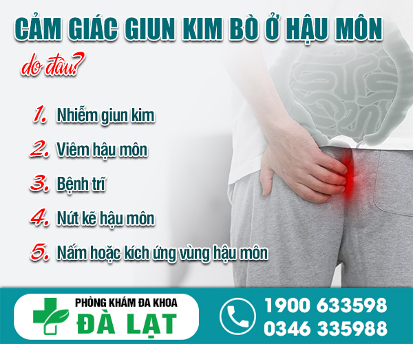 Hình ảnh minh họa